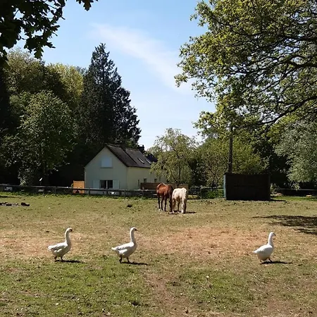 Appartement en lisière de forêt avec étang Scaer Exterior foto